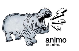 animo company logo