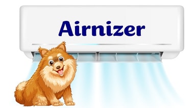 Airnizer CA, Inc.