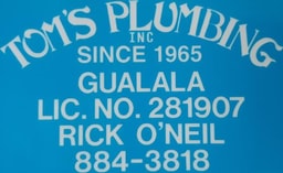 Tom's Plumbing INC company logo